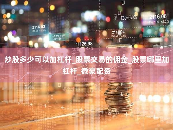 炒股多少可以加杠杆_股票交易的佣金_股票哪里加杠杆_微豪配资