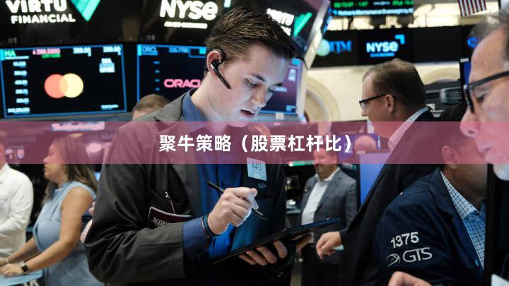 聚牛策略（股票杠杆比）