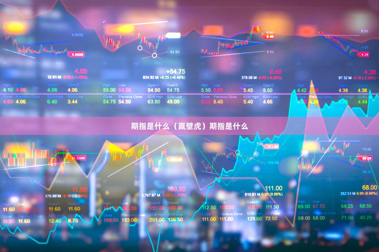 期指是什么（赢壁虎）期指是什么