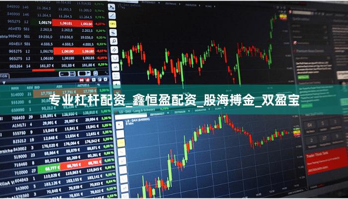 专业杠杆配资_鑫恒盈配资_股海搏金_双盈宝