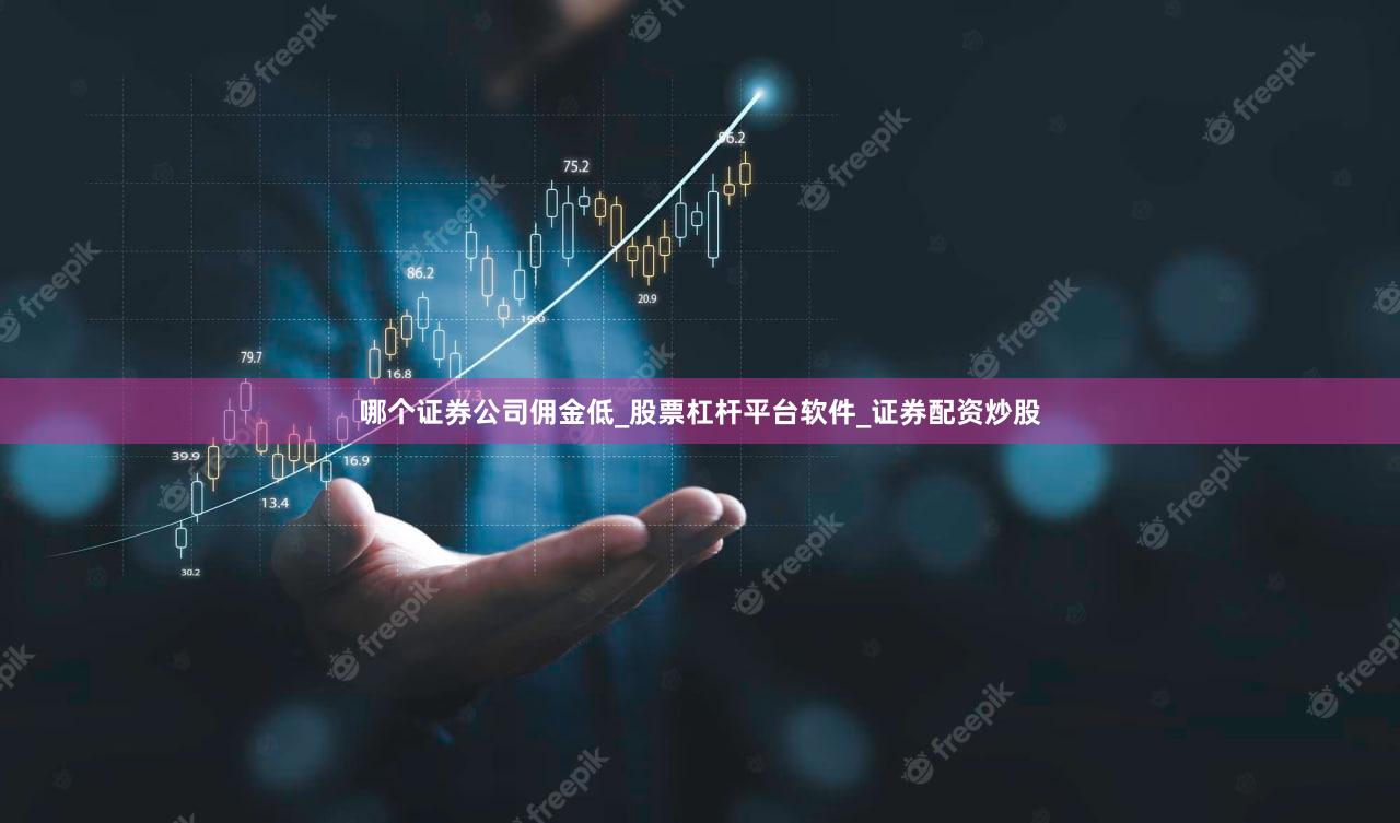 哪个证券公司佣金低_股票杠杆平台软件_证券配资炒股