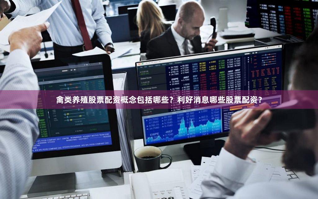禽类养殖股票配资概念包括哪些？利好消息哪些股票配资？