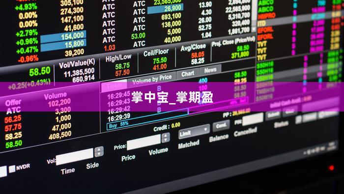 掌中宝_掌期盈