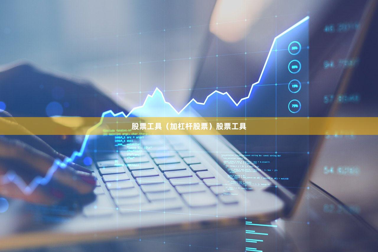 股票工具（加杠杆股票）股票工具