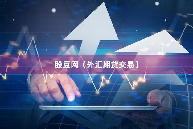 股豆网（外汇期货交易）