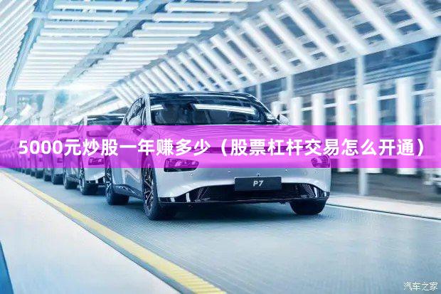 5000元炒股一年赚多少（股票杠杆交易怎么开通）