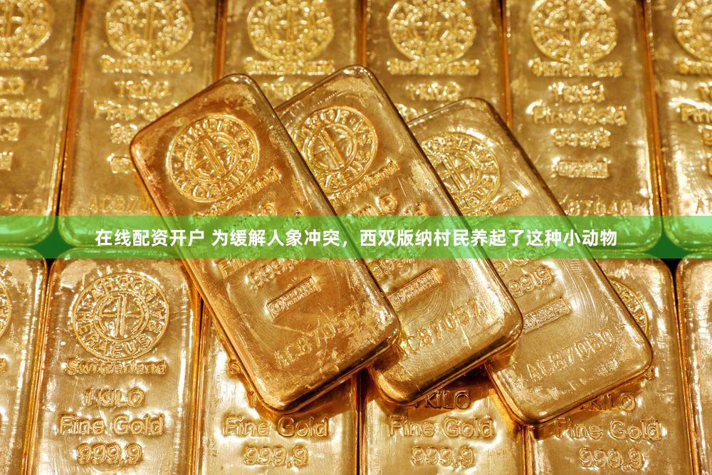 在线配资开户 为缓解人象冲突，西双版纳村民养起了这种小动物