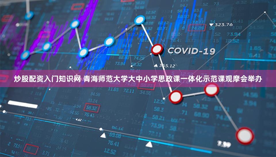 炒股配资入门知识网 青海师范大学大中小学思政课一体化示范课观摩会举办