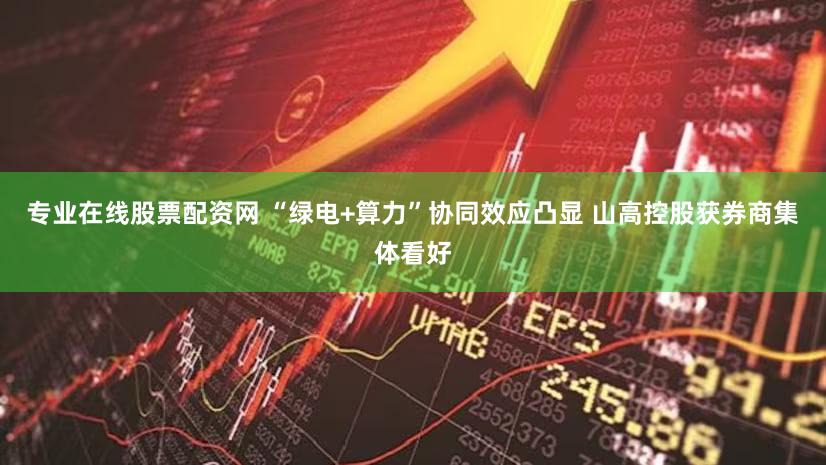 专业在线股票配资网 “绿电+算力”协同效应凸显 山高控股获券商集体看好