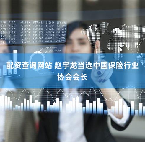 配资查询网站 赵宇龙当选中国保险行业协会会长