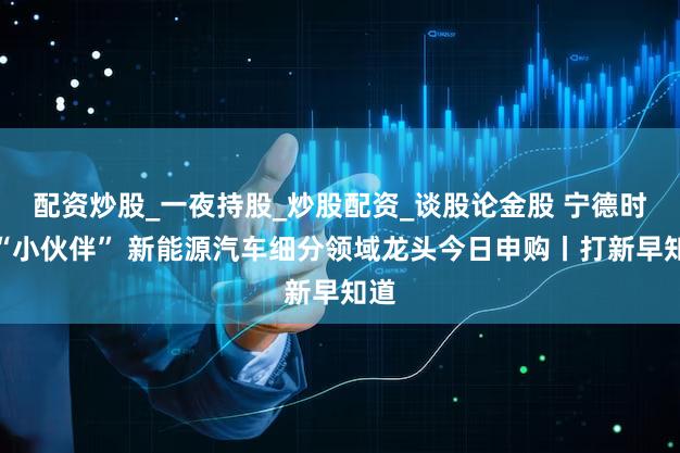 配资炒股_一夜持股_炒股配资_谈股论金股 宁德时代“小伙伴” 新能源汽车细分领域龙头今日申购丨打新早知道