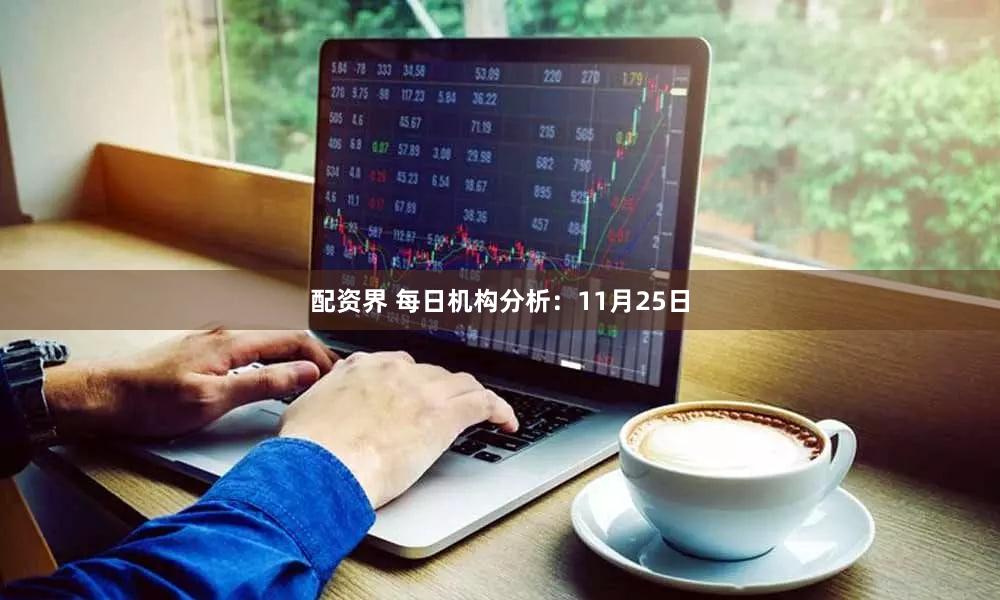 配资界 每日机构分析：11月25日