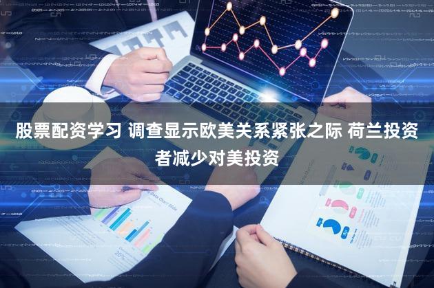 股票配资学习 调查显示欧美关系紧张之际 荷兰投资者减少对美投资